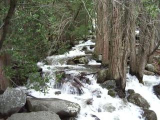 IMGP0379.JPG